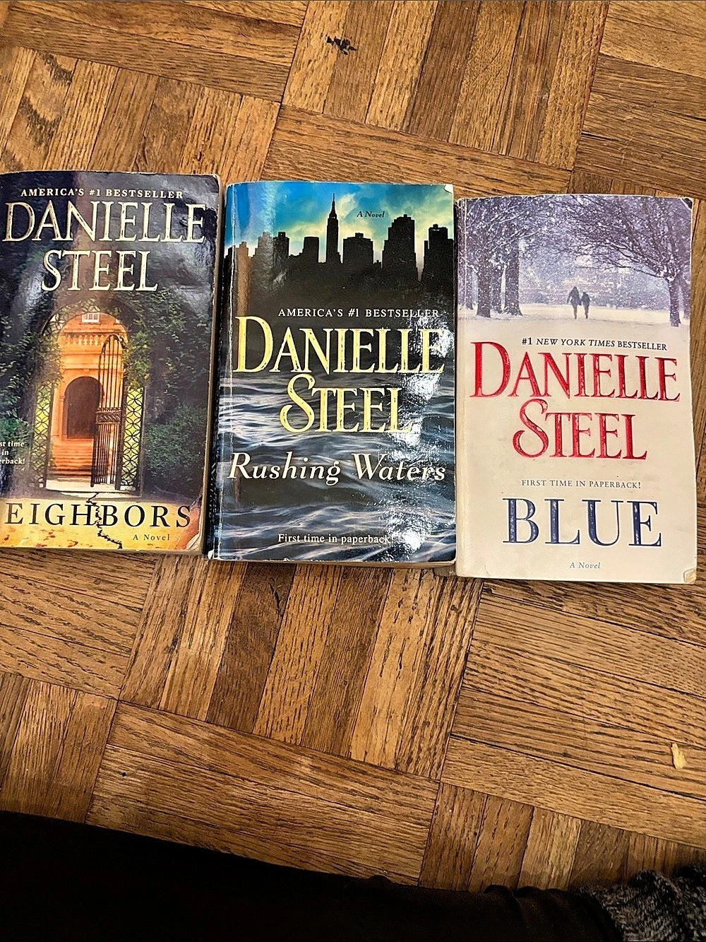 Danielle Steel Paperback Novel Bundle (Neighbors, Rushing Waters, Blue)